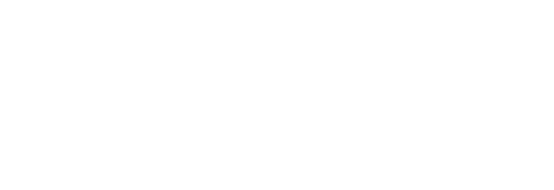 Aegis Civis